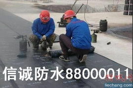 青岛信诚防水公司专业楼顶防水 保修五年88000011